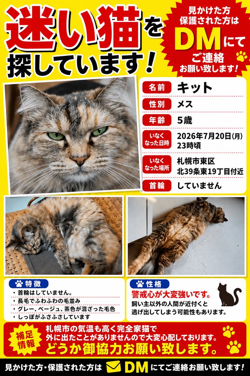 techinekosomech's tweet photo. 知人からのお願いです。

札幌市で猫ちゃんを探しています。
家猫ちゃんで外にでたことがないそうです。
拡散、御協力お願い致します。
どんな些細な情報でも構いません。

 #迷い猫  #札幌  #猫を探しています
 #拡散お願いいたします https://t.co/z1lKmua4PU