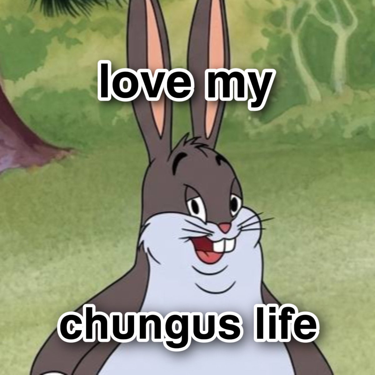 Big Chungus tweet media