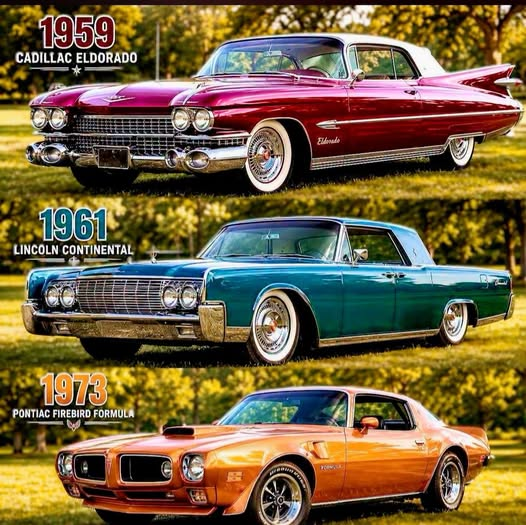 Elf_9090's tweet photo. Choose one...  

Top Middle or Bottom? 🤔 https://t.co/wIJ2BMJkFr
