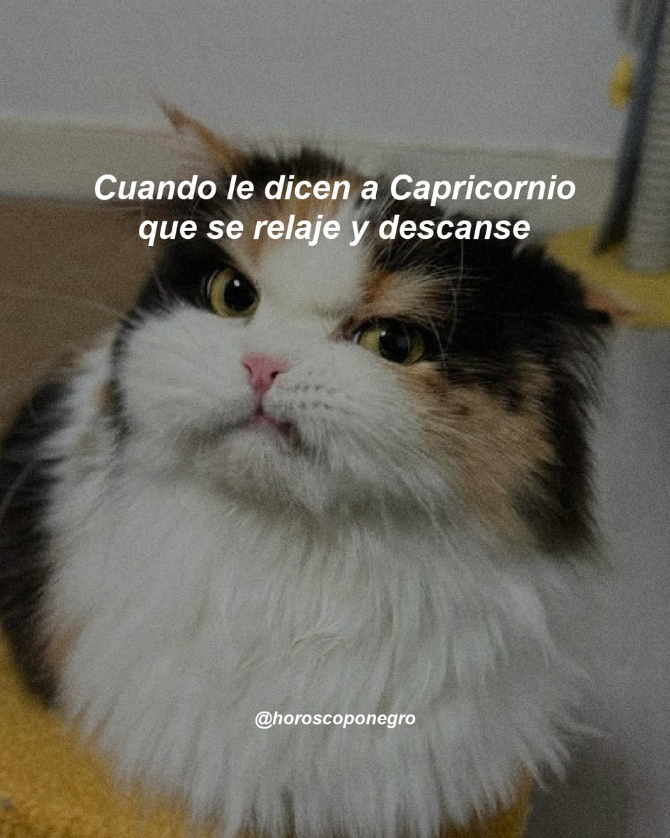 capricornio_hn's tweet photo. Mix Capricornio michis ♑ https://t.co/d6HRXXDvbQ
