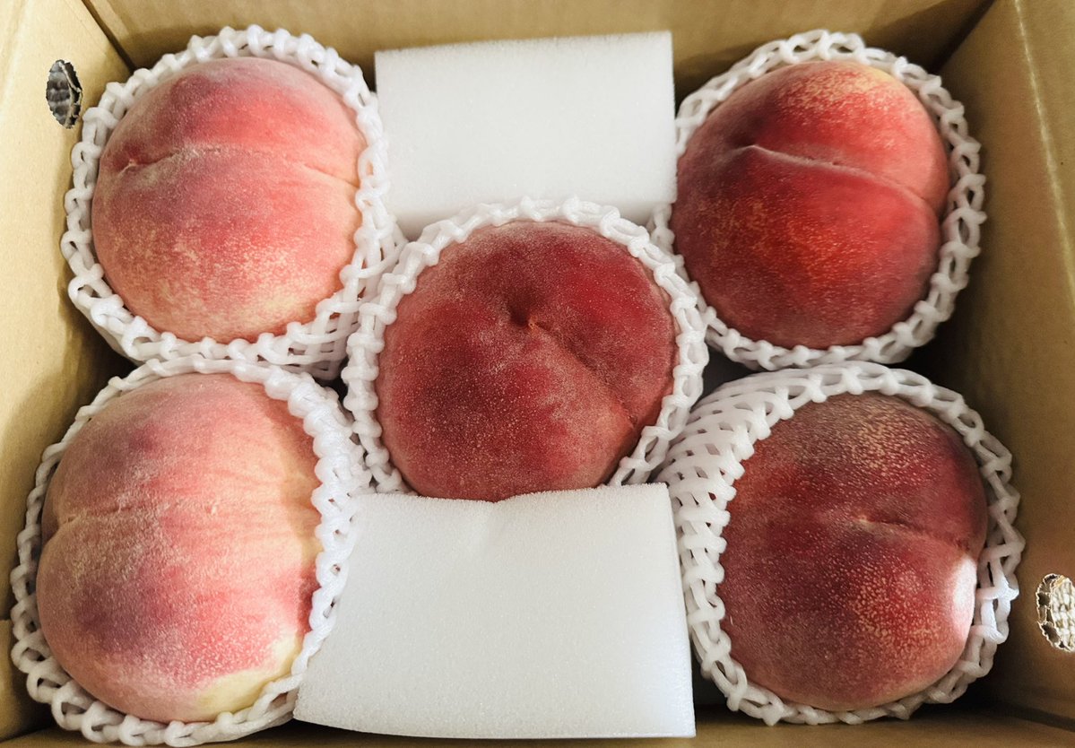 桃　桃　 昨日来た桃、とっても食べごろで剥きやすくて美味しくて甘くて最高で