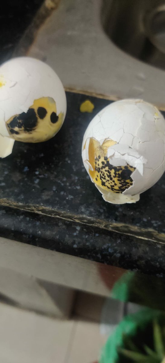 hsm2jsw's tweet photo. @fssaiindia @group_shalimar @bigbasket_com @DFCAJHARKHAND @FoodJharkhand Bought rotten, foul-smelling "TOTAL TEN" eggs via @bigbasket in Adityapur, Jamshedpur. Expiry is 23/7/2026, but they are completely spoiled and a severe health hazard for food poisoning. Pictures attached. https://t.co/09Wr6GKkoX