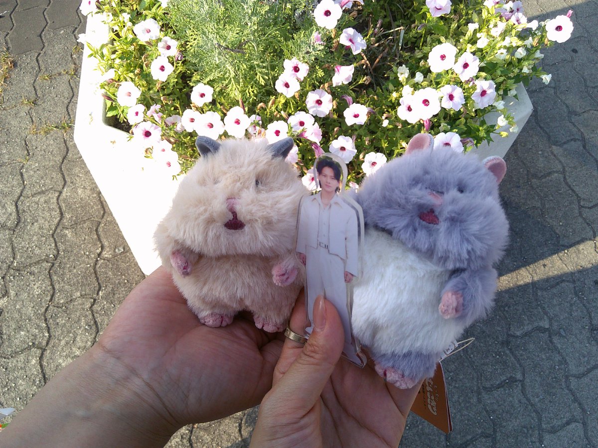 amaebi010's tweet photo. そういえば紫耀くんとお揃いのデジカメ買ってたのに使うの忘れてて今日やっと📷 https://t.co/hqMW1QcXPQ