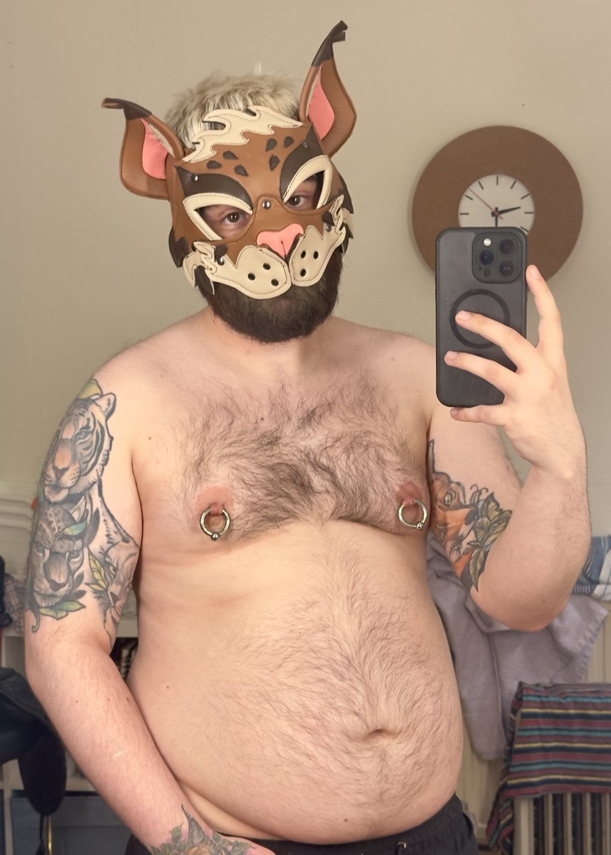 LynxCuddles's tweet photo. i have hired this cat to stare at you. https://t.co/ldWkSLStcs
