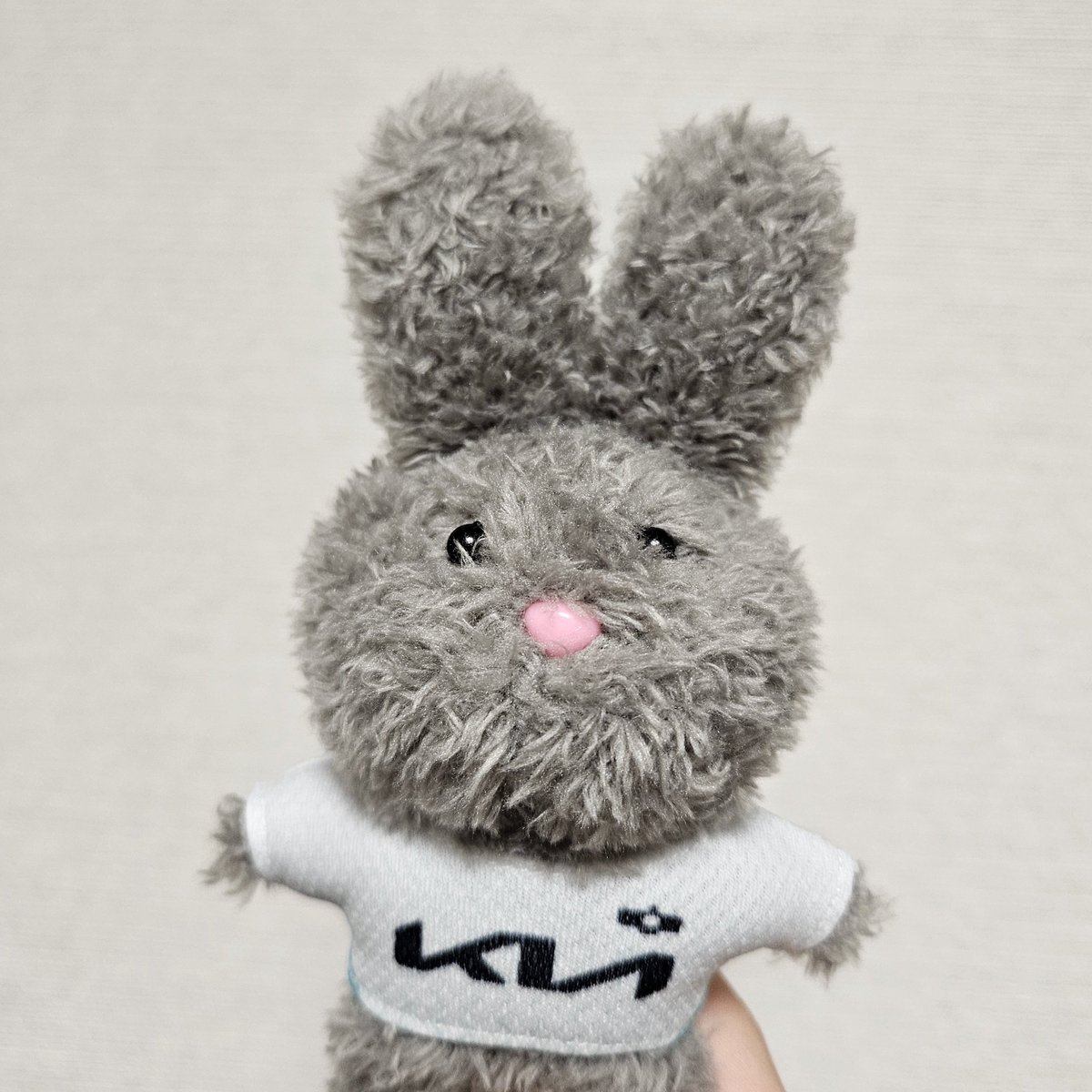 dkmandoo's tweet photo. 딮끼 왔다!! 옷도 좀 낑겨보이고 너무 왕대두토끼 같아서 쇼용이 옷 뺏어다 입혀줌🤩 https://t.co/14nlCM872d