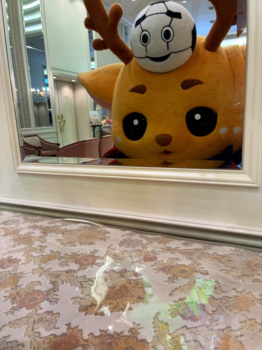 naraclub_goods's tweet photo. いつの間に撮ったのか！？

シューカくんから鏡越しの自撮り写真が送られてきました🤣 https://t.co/GpZDGrLomw