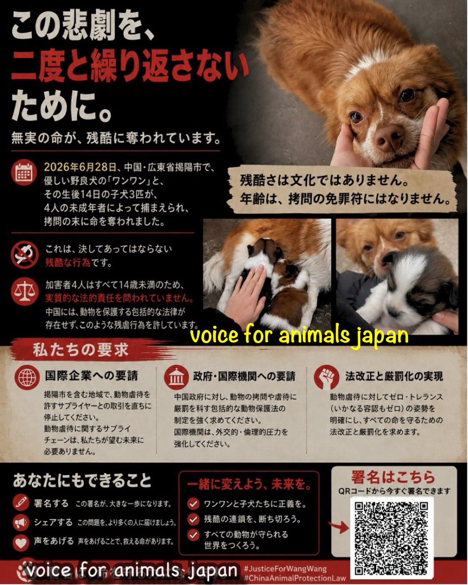 eugene_vegan's tweet photo. #justiceforwangwang 台湾の方からの署名にも賛同よろしくお願いします
https://t.co/EMt6VlULw2 @change_jpより https://t.co/e4k5mDNo3e