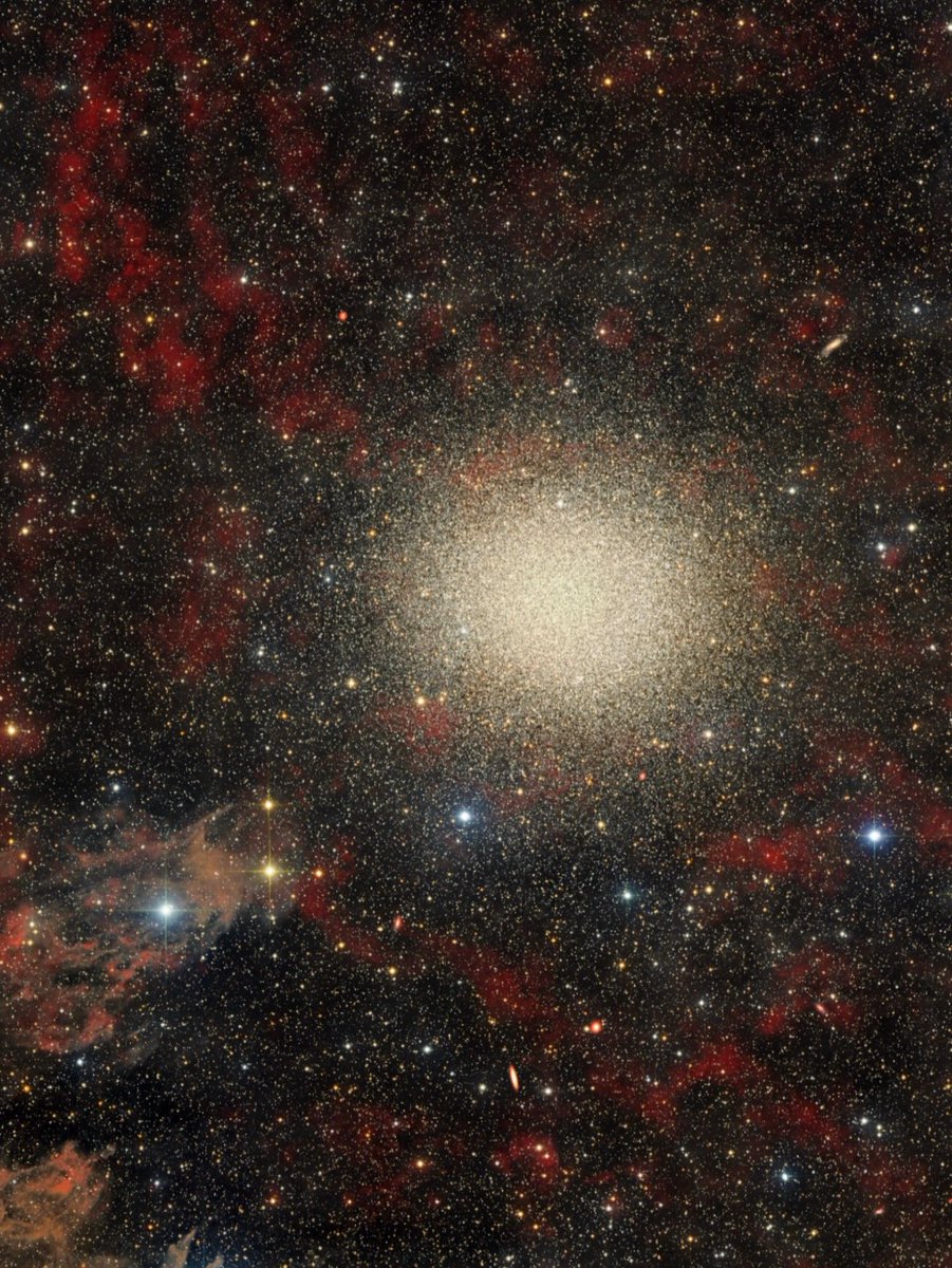 astrocatinfo's tweet photo. A deep OMEGA Centauri ⭐️

📷 Wolfgang Promper - Namibia https://t.co/yRB7vPIlh3