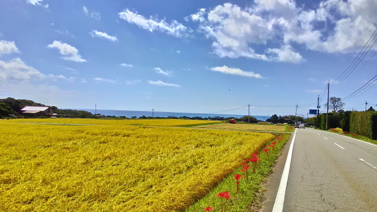 jcmt2010's tweet photo. @aya_chun_sanpo 佐渡いいですよ。昔、自転車で行きました。岬が4カ所あるので何度も果て感を味わえます。東京からのアクセスもまあまあよいです。 https://t.co/teHJMcxemw