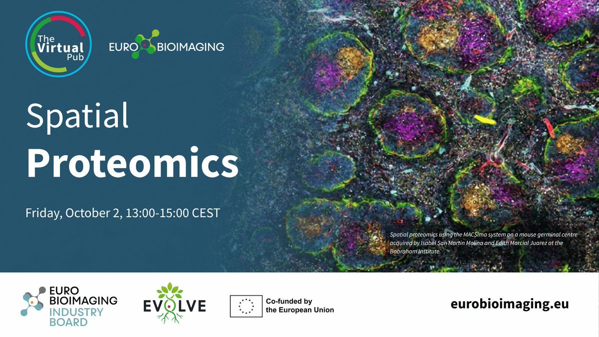 EuroBioImaging's tweet photo. 🙌 Excited about our next Special Edition #VirtualPub on Spatial Proteomics! It will take place online on 🗓️ Friday, October 2 from 1-3 pm CEST with speakers from academia &amp; industry. Join us to explore cutting-edge spatial proteomics technologies!
More⤵️ 
https://t.co/KocNkOYagV https://t.co/b4nmIpxx62