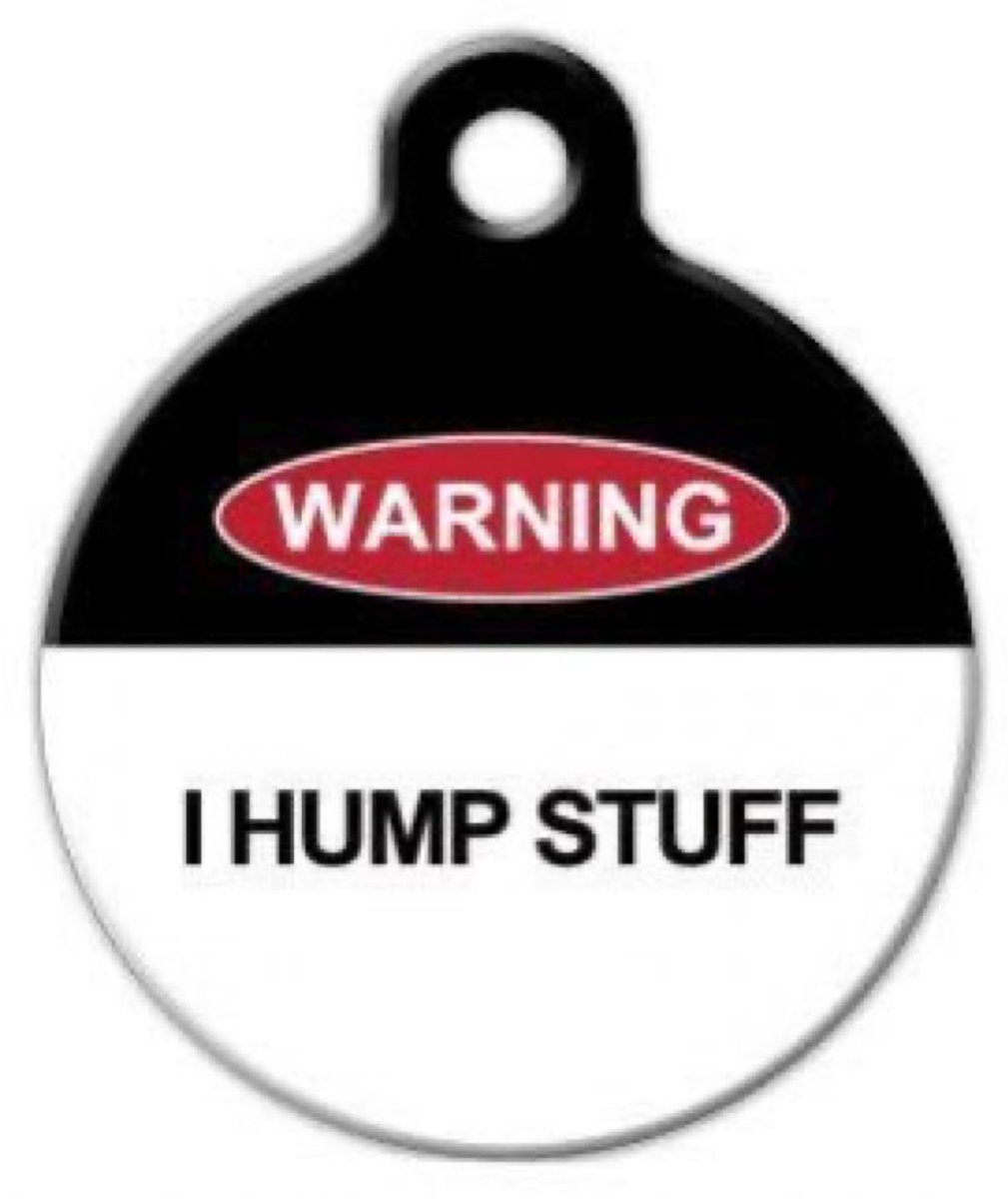bonesmydude's tweet photo. need this as a warning on my collar for people to know😓 https://t.co/aLeQeF2XU5