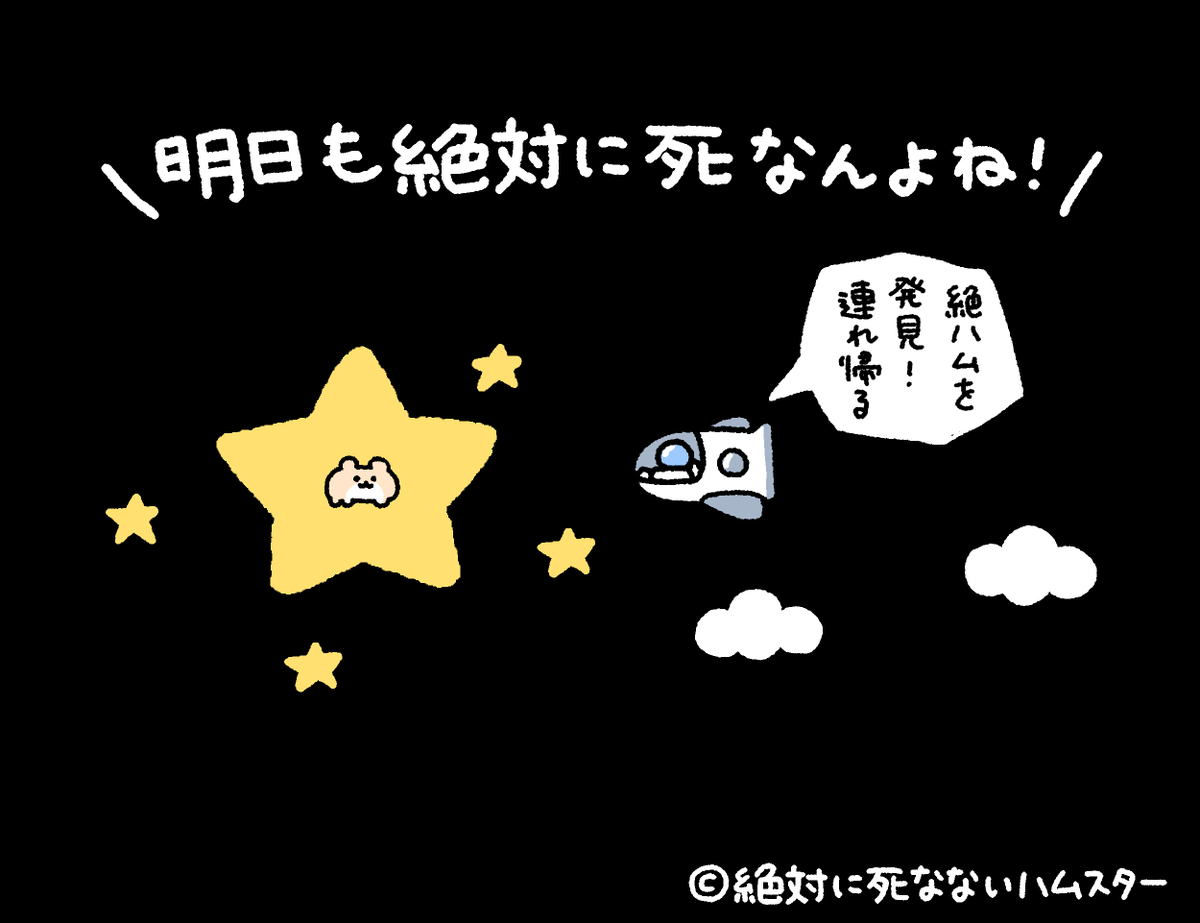 ZETSUHAMU's tweet photo. 今夜も絶ハムスターが見守っているぞ https://t.co/aMevh9Updm
