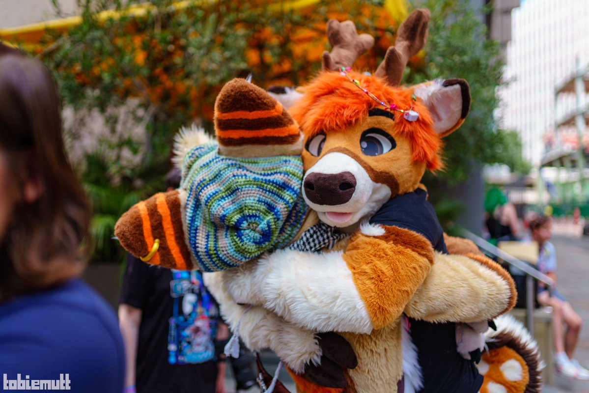 Calba 🔜 Eurofurence tweet media