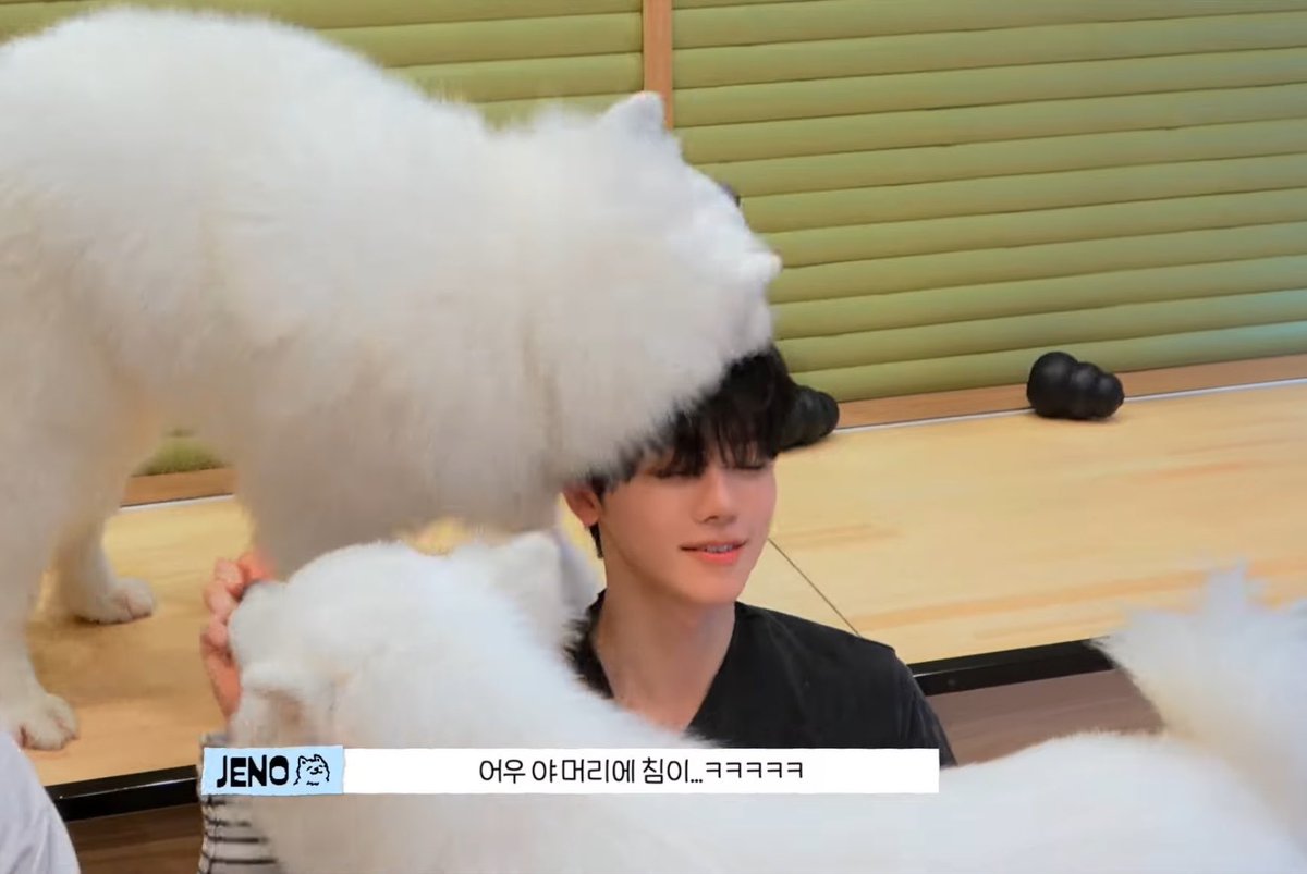 Gaebokkii's tweet photo. ㅋㅋㅋㅋㅋㅋㅋㅋㅋㅋㅋㅋㅋㅋㅋㅋㅋㅋㅋㅋㅋㅋㅋㅋㅋㅋㅋㅋㅋㅋㅋㅋㅋㅋㅋㅋㅋㅋㅋㅋㅋㅋㅋㅋㅋㅋㅋㅋㅋㅋㅋㅋㅋㅋㅋㅋㅋㅋㅋㅋㅋㅋㅋㅋㅋㅋㅋㅋㅋㅋㅋㅋ https://t.co/FPALPusOOD