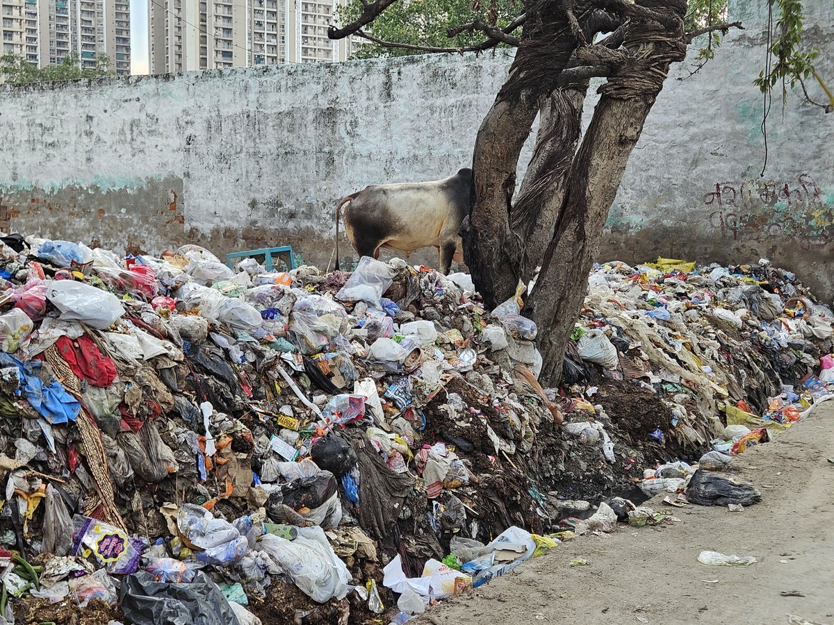 AkashSharmabjp0's tweet photo. @myogiadityanath @myogioffice
@noida_authority
@CeoNoida 
नोएडा प्राधिकरण का ध्यान आकर्षित करना चाहता हूँ।

ग्राम गढ़ी चौखंडी, सेक्टर-68, नोएडा, गली नंबर-1 में लंबे समय से कूड़े का ढेर लगा हुआ है। स्थानीय लोगों को रोज़ाना गंदगी और दुर्गंध के बीच से गुजरना पड़ रहा है, जिससे स्वास्थ्य संबंधी समस्याओं का भी खतरा बढ़ गया है।

माननीय सीईओ महोदय, आपसे अनुरोध है कि केवल मुख्य सड़कों ही नहीं, बल्कि गांवों का भी निरीक्षण करें। स्वच्छ सर्वेक्षण तभी सफल होगा जब गांव भी स्वच्छ और साफ़ होंगे। कृपया तत्काल सफाई कराकर स्थायी समाधान सुनिश्चित करें।

#NoidaAuthority #Noida #CleanNoida #SwachhBharat #SwachhSurvekshan #GarhiChaukhandi #Sector68 #PublicHealth #CleanVillage #UttarPradesh