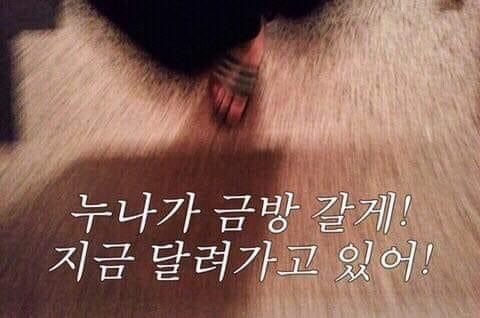 mx_gin's tweet photo. https://t.co/jnir3p2tXy