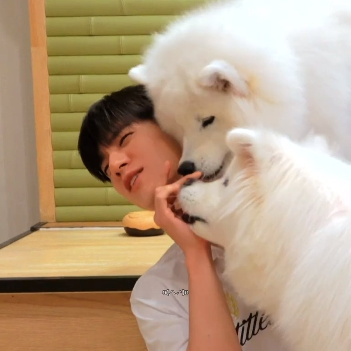 jenelune's tweet photo. หนูอยากเล่นคนเดียว https://t.co/i0NTyeOoAZ