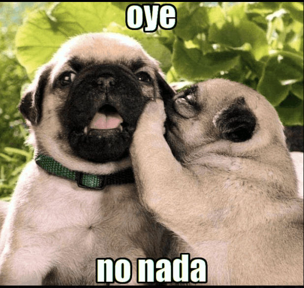 Renwara13's tweet photo. @Grifvoid Oye pero tienes seguro en casos me pegues lo de tu labio jejeje https://t.co/tCKFjz2geJ
