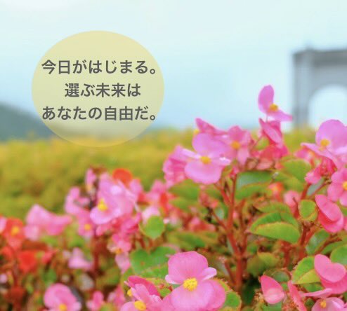 kari85_yu's tweet photo. 生まれた瞬間って、
みんな何も考えていない。

欲しいものに手を伸ばして、
眠くなったら眠る。
お腹が空いたら泣いて知らせる。

ただ、その瞬間を生きているよね。

でも、物心がつく頃には、
「やさしいね。」
「お母さんにそっくり。」
「我慢強い子だね。」

そんな何気ない言葉を、
私たちは少しずつ
受け取っていきます。

そして、

「私はそういう人なんだ。」と、
知らないうちに
思い込みが生まれる。

本当は違ったかもしれないのに、

思い込みが
未来の選択まで変えてしまう
こともある。

だたから時々、自分に聞いてみる。
「これは本当に私？」
「それとも、誰かの言葉を
信じ続けているだけ？」

思い込みを手放した時、
幸せの形は、きっともっと自由になる。

たった1度の人生。
人の言葉で、未来の選択まで
変えないで。

幸せの形は、これから何度でも
選び直せるから。

あなたにとって、本当の幸せは
どんな形ですか？