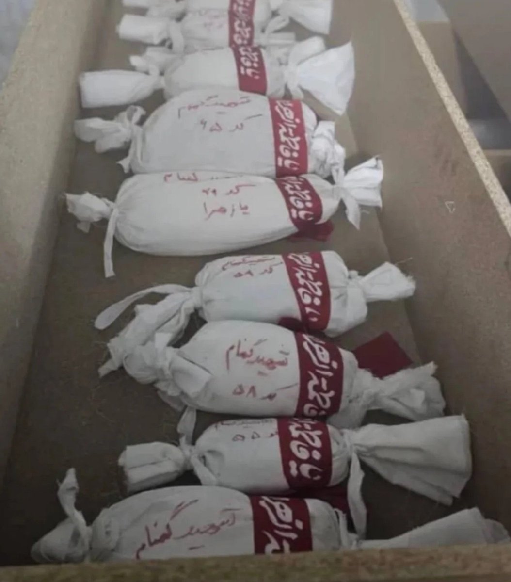Azar_Bano_'s tweet photo. امروز ۶۸ تیکه از بدن بچه های میناب خاکسپاری شد الان که اینترنت بود اینستاگرام بود
ندیدم استوریای ناراحتیتون برای جنوب عزیز رو؟!
ندیدم استوری بذارید ما برای همدردی با مردم جنوب رفتیم توی تشیع شرکت کنیم؟!
میناب هم جنوبه دیگه ندیدم کمپین حمایتی بذارید!
عزاداریتون انتخابیه؟
#میناب https://t.co/2aE5OuoVMl