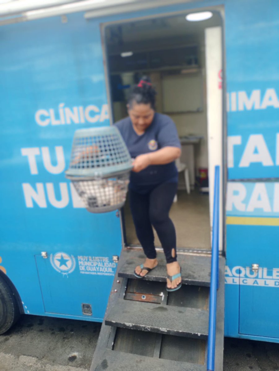 aquilesenlacomu's tweet photo. 🐾 El Municipio de Guayaquil, a través de la Dirección de Protección de los Derechos de los Animales y la Dirección de Vinculación, realizó una brigada de esterilización en Mapasingue, cooperativa 27 de Enero, fomentando el bienestar animal y la tenencia responsable. 💙 https://t.co/T1BP54ghUs