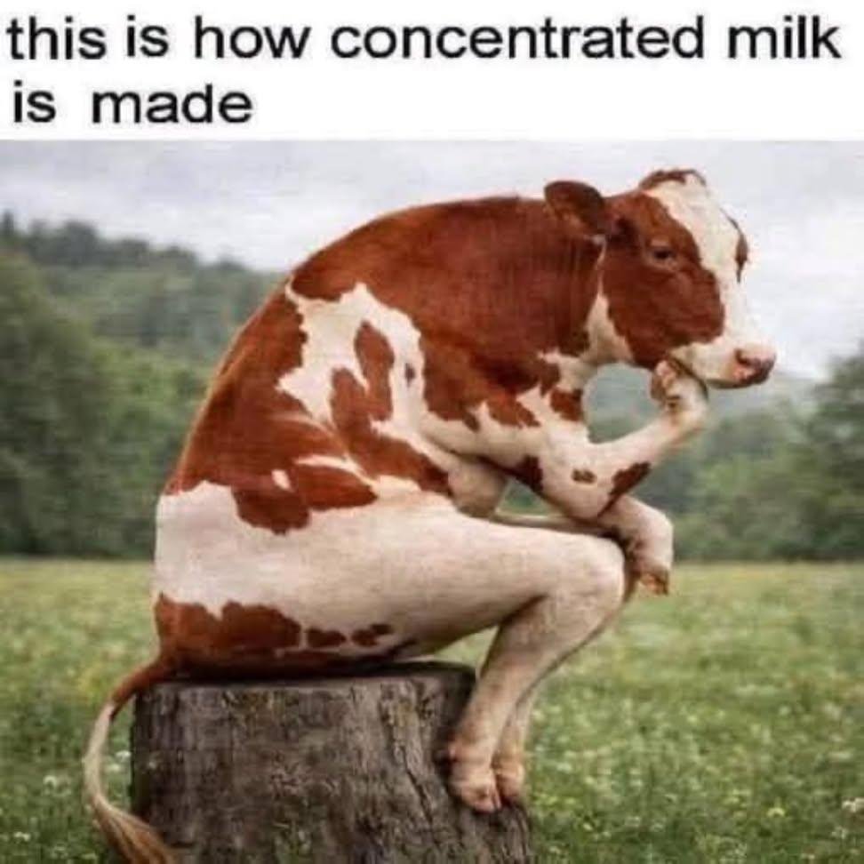 clear3st's tweet photo. Picture of the day:🐄 https://t.co/3sBnDcITXd