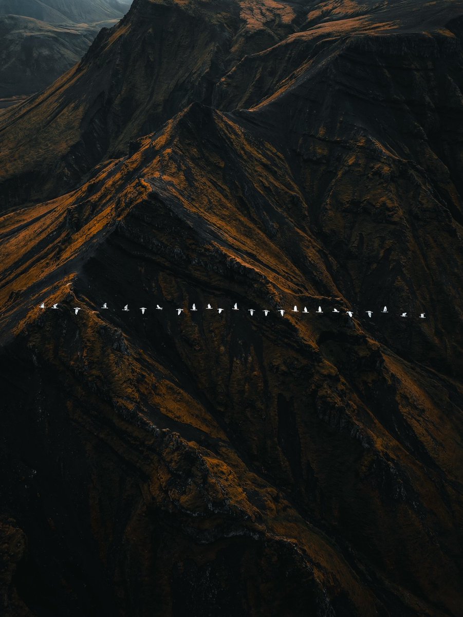 visualsofearth1's tweet photo. Iceland https://t.co/TYY88WZLQ5