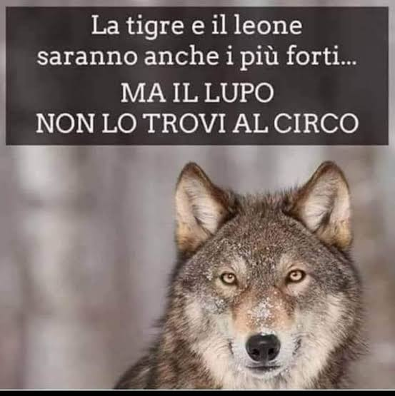pcama23's tweet photo. https://t.co/RLW0iGUJUd