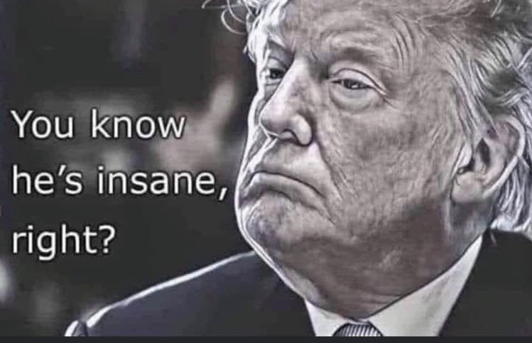 1stonestruck's tweet photo. @marlene4719 I think Trump 'misunderstood': It is ACTUALLY
"WE CAN'T LET Trump have Nuclear Weapons anymore!!"
#TrumpMentallyUNFIT
#TrumpIsMentallyILL
#TrumpHasDEMENTIA
#INVOKE25thAmendmentNOW
#REMOVETrumPFromOffice
#TrumpDIREThreatToAmerica
#WeAreUNSAFEUnderTrump https://t.co/2Iys7jS9bS