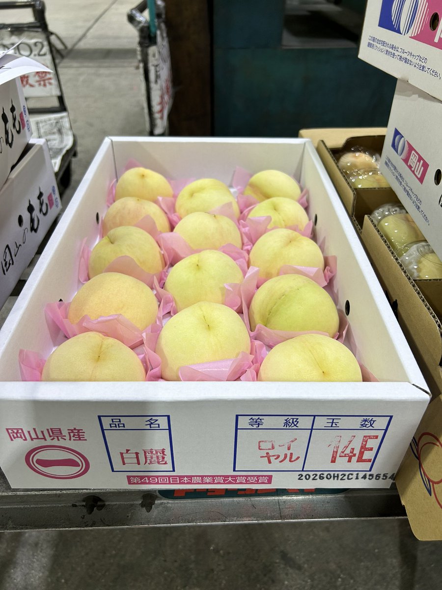 cheaptrickknife's tweet photo. 白麗と川中島
まだ7月ですよ https://t.co/m0C3X0aBHf