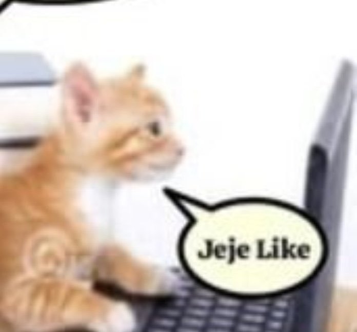 SebastianSoli2's tweet photo. Me he dado cuenta que me estoy convirtiendo en un adulto simple 
Ya casi no uso las redes para compartir ni así, nomás jeje like, como este pinche gato https://t.co/8ixKQUIe2Y