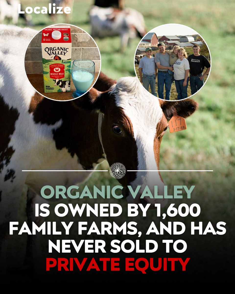 Localize - Farmers Market tweet media