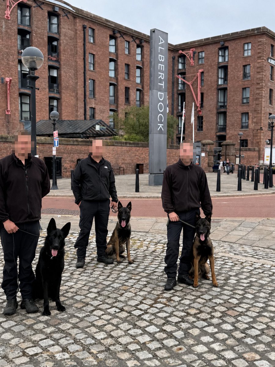 MerPolDogs's tweet photo. TPD’s RICO, BANE and RONNIE enjoyed a walk around @theAlbertDock today as their initial General Purpose Dog course comes to an end. All 3 dogs have worked hard over the last 8 weeks to be ready for their licensing next week to become fully fledged Police Dogs. https://t.co/KxjKBMSrzh