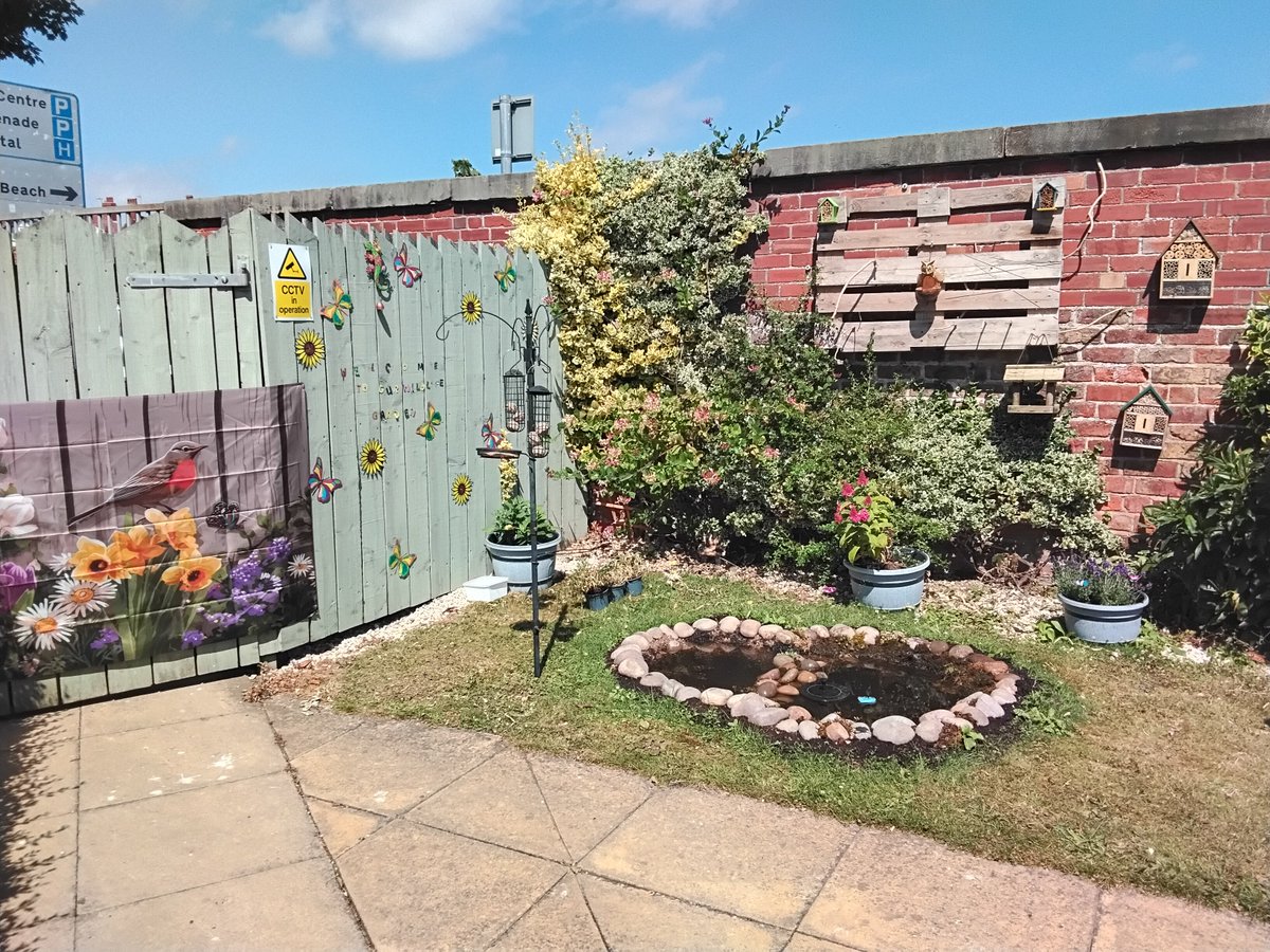 RedHouse44's tweet photo. Residents are so proud with our wildlife garden especially when they watch the birds take a bath in our pond even though we did not make it to the second stage good luck to the other HICA homes that went through #hicaactivities #bridlington #carehome https://t.co/Lmfxg9nwe4