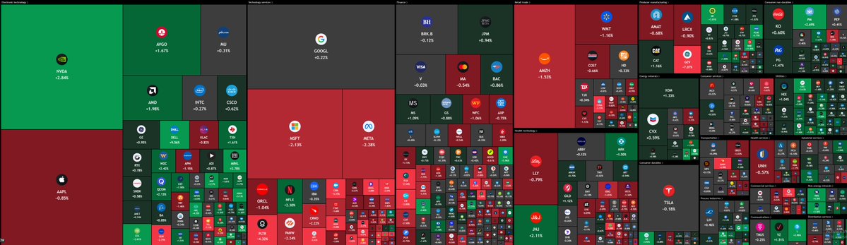 THE SHORT BEAR tweet media