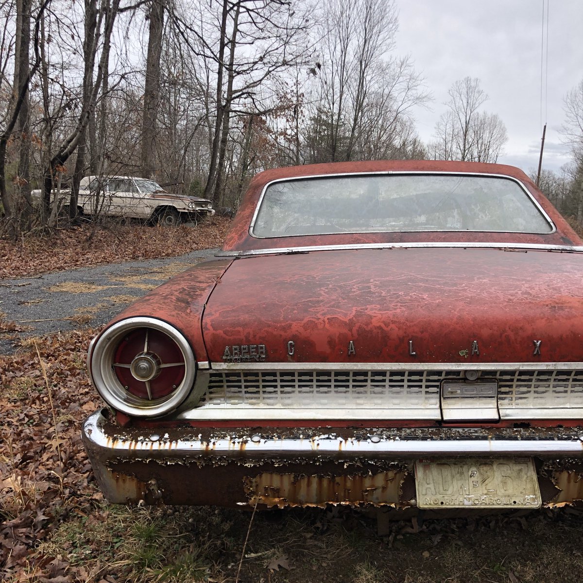 Diary of Abandonment tweet media