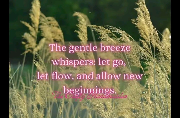 mena_callaghan's tweet photo. ☺️ Just going to leave this here for you....
The gentle breeze whispers, let go, let flow &amp; allow new beginnings.🌻☀️

#slowlivinglifestyle #calming #chill #stressrelief #summervibes #craftyhandaiden https://t.co/hlcKZkU5jK