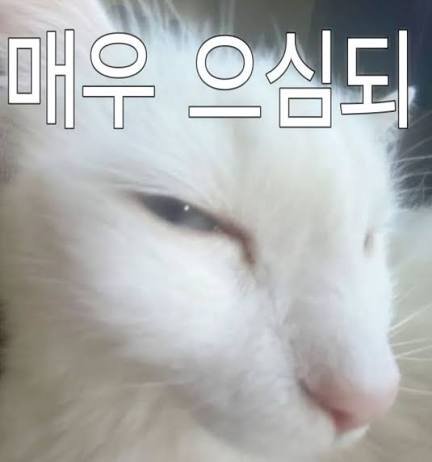 NAN_RO_'s tweet photo. めちゃあやちい🤨🧐 (￢_￢) https://t.co/c9c7YCbUDC