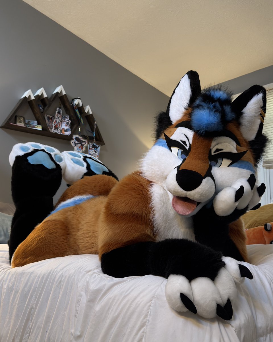 FoxNamedAri's tweet photo. Sona vs what you drive 🦊

22’ X3 M40i, love it for con road trips https://t.co/6CLVo2RbXk