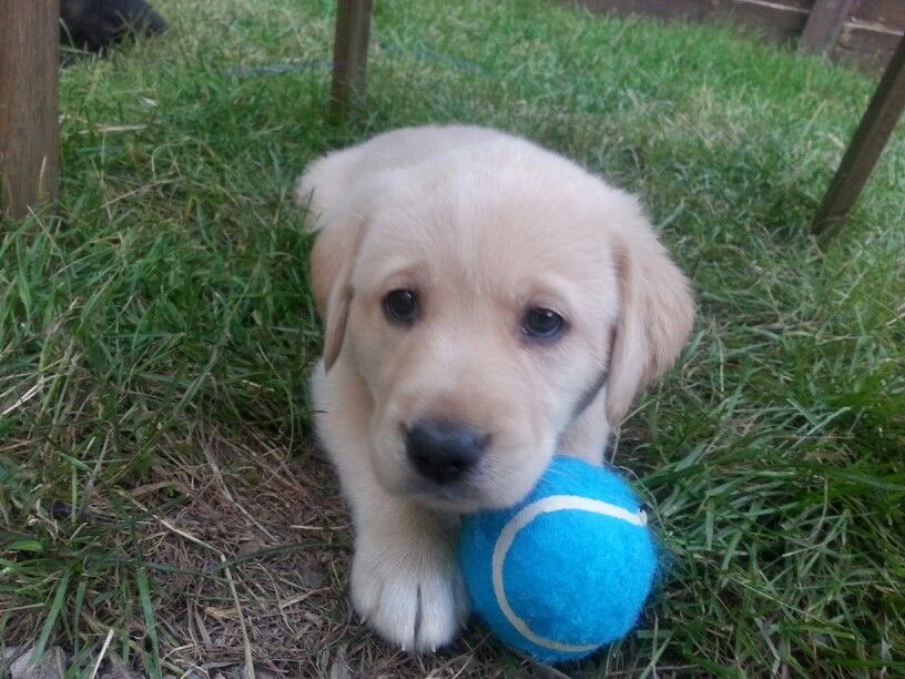 SiliGremlin's tweet photo. Does anyone wanna play ball,,, like at all,,? https://t.co/u7vxaxORa7