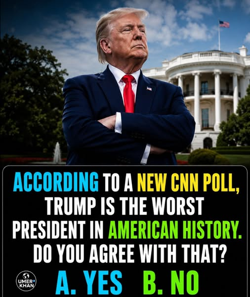Deb L is Blue!! tweet media