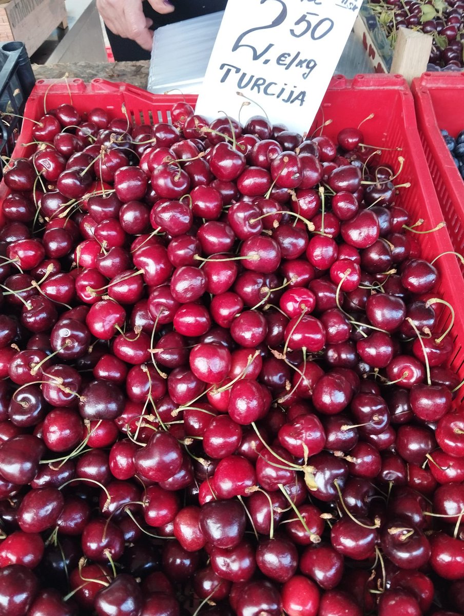 Murat51761's tweet photo. İzmir'den Riga'ya Kirazın İnanılmaz Yolculuğu: Türkiye'de 150 TL, Letonya'da 2,5 Euro!
Letonya’nın başkenti Riga’da tezgâha çıkan taze kirazlar, kente ulaşan Türk vatandaşlarını hayrete düşürdü; üzerinde "İzmir / Türkiye" etiketi yer alan birinci kalite ihracatlık kirazın kilosunun Riga tezgahlarında 2,5 Euro (yaklaşık 135 TL) fiyatla satılması tepkilere neden oldu. Binlerce kilometre yol katetmesine, lojistik, nakliye ve gümrük maliyetlerinin eklenmesine rağmen Letonya’daki kaliteli kirazın, Türkiye’deki pazar ve market fiyatlarından daha ucuza satılması dikkat çekti. Anavatanı Türkiye olan kiraz iç pazarda 80 TL ile 150 TL arasında değişen fiyatlarla satılırken, duruma tepki gösteren vatandaşlar, "İzmir’den yüklenen kasa binlerce kilometre öteye geliyor, üstelik en kaliteli kalibrede; buradaki insan bizden daha ucuza ve daha kaliteli kiraz yerken biz kendi ülkemizde hem daha pahalıya alıyoruz hem de ikinci sınıf ürüne mahkûm kalıyoruz" ifadelerini kullandı. Uzmanlar ise iç pazardaki aracı ve komisyoncu sayısının fazlalığı, yüksek kâr marjları ve hal zincirindeki verimsizliklerin bu fiyat farkına yol açtığını belirterek tarım politikaları ile iç pazar denetimlerinin yeniden sorgulanması gerektiğini vurguluyor.