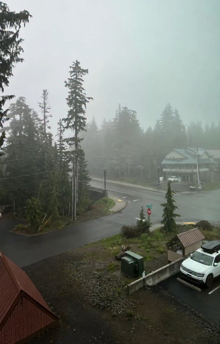____flowers__'s tweet photo. Pacific Northwest https://t.co/D3Vb2GLhD1