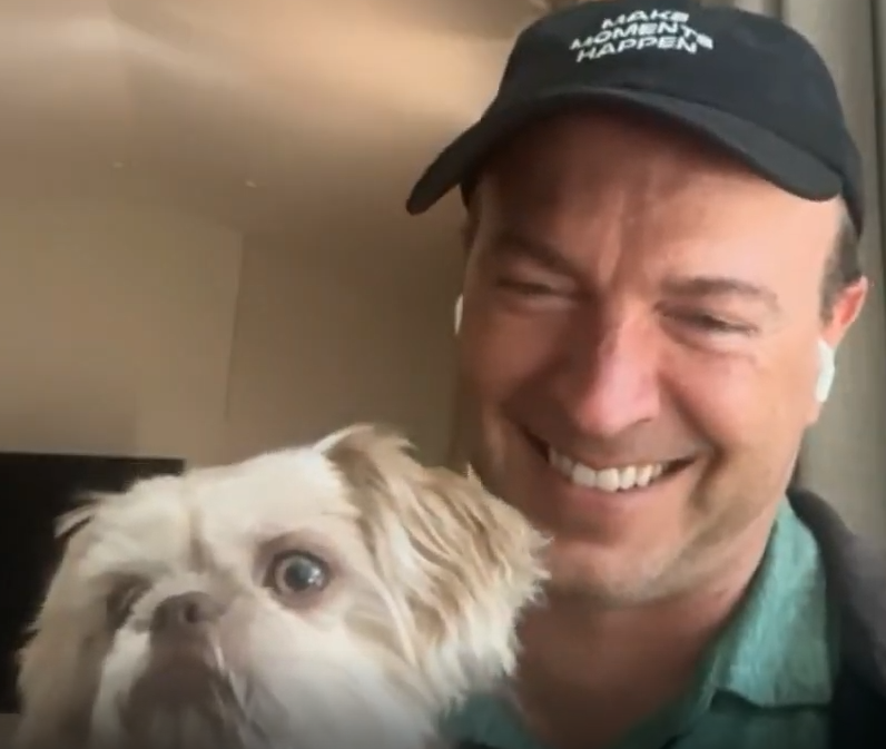 michaeldonohue's tweet photo. A slightly different kind of update: we are fostering a very calm 8-year-old rescue dog right now, and I am quickly learning how easy it is to reorganize your day around a face like this.

He has already settled into the house like he has been running things for years. https://t.co/4wNh5vghlW