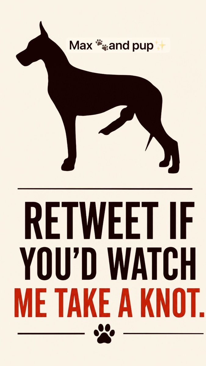 maxandpupboi's tweet photo. https://t.co/VMiRUDAOZi