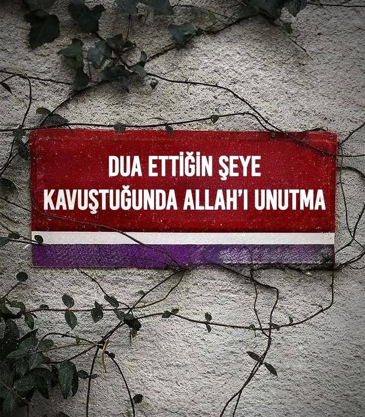birteraphy's tweet photo. dua ettiğin şeye kavuştuğunda rabbini unutma https://t.co/jZOyjruFc7