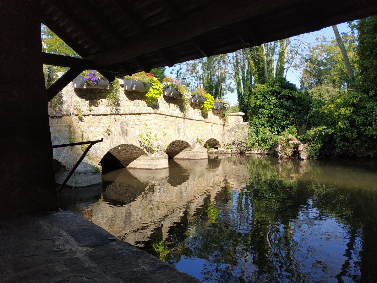 bearwaterfish's tweet photo. Petit passage obligatoire par le lavoir le long de la rivière. J'ai chaud, très chaud 🥵. Un peu d'ombre ça fait du bien 😅. https://t.co/c8aRl5LnWJ