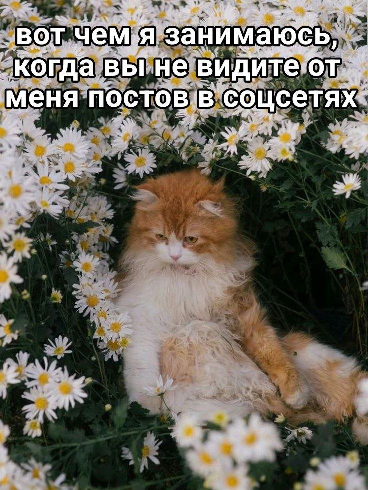 catsilcats's tweet photo. https://t.co/k21jkXIiOb