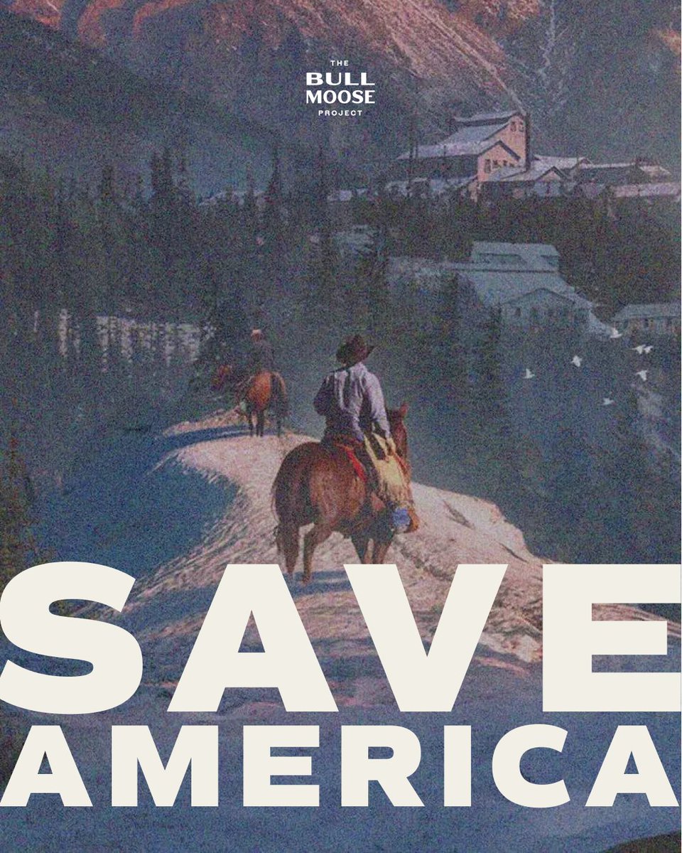 The Bull Moose Project tweet media