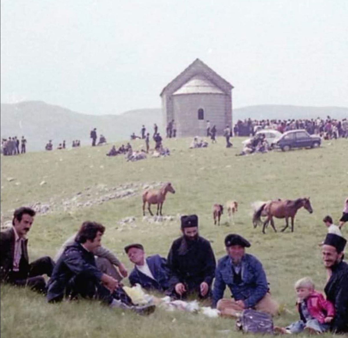 Севастократор tweet media
